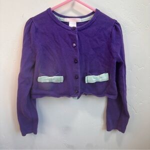 Janie and Jack purple sweater